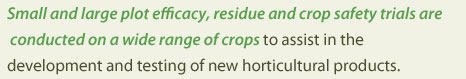 Small plot efficacy, residue and crop safety trials are conducted on a wide range of crops to assist in the development and testing of new horticultural products. 